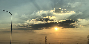 浪卡子悦旭技术优势